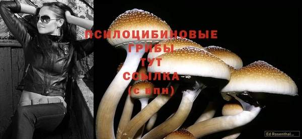 меф Алексин