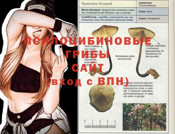 наркотики Алексеевка